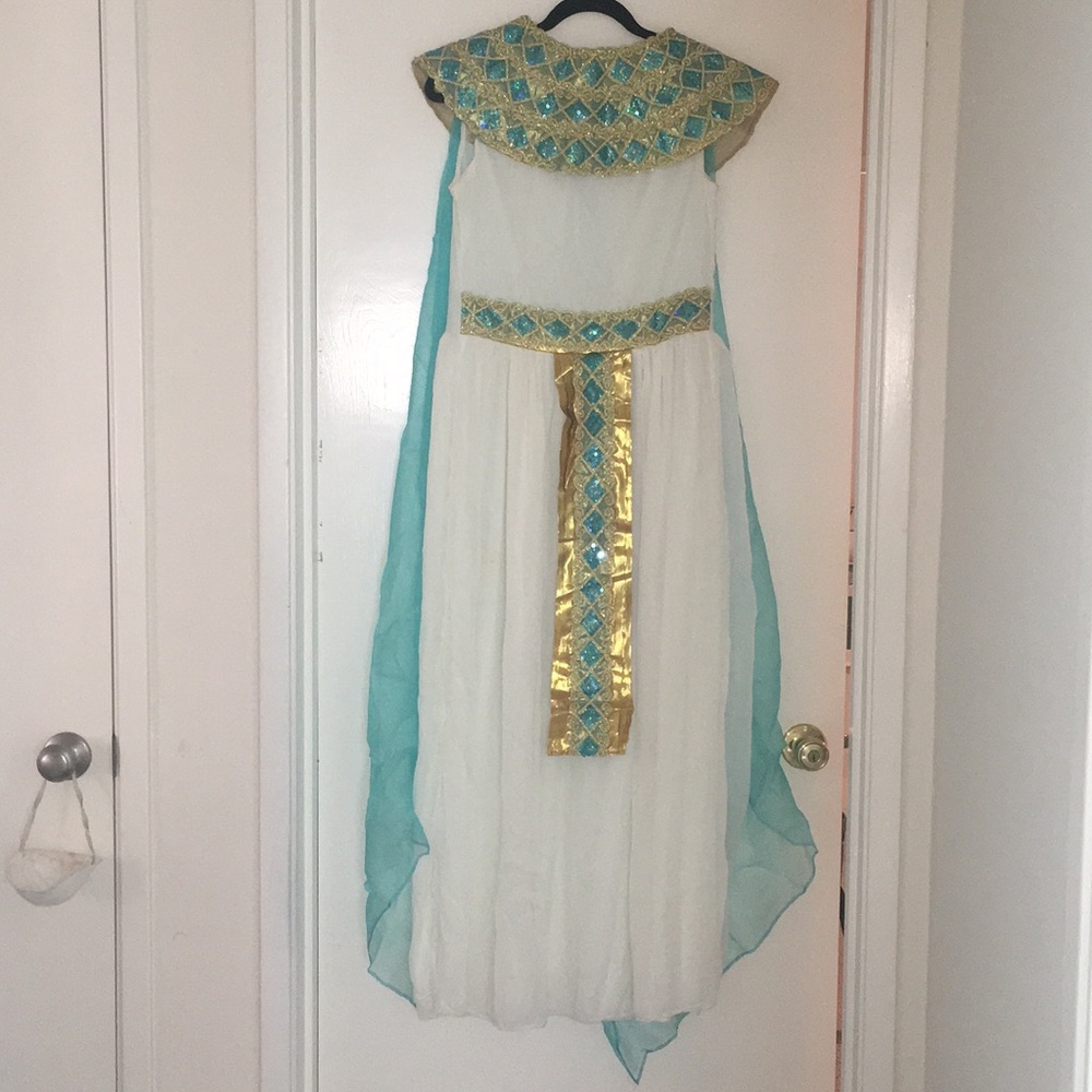 Halloween costume.